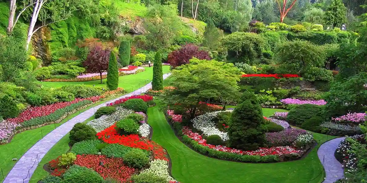 ساخت و طراحی فضای سبز