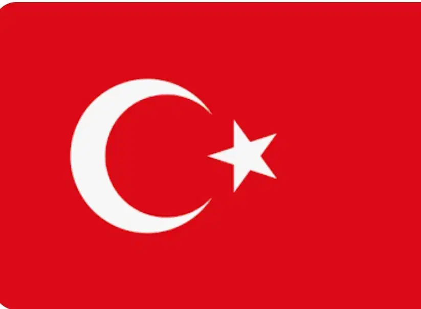 مدرس و مترجم ترکی استانبولی همراه با یک جلسه رایگان