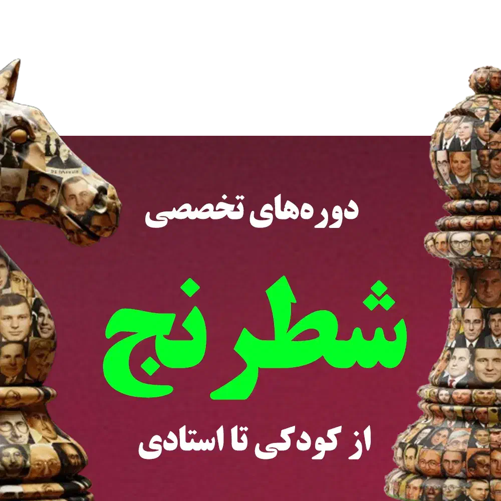 تدریس شطرنج، تخصصی و حرفه ای، آموزشگاه شطرنج