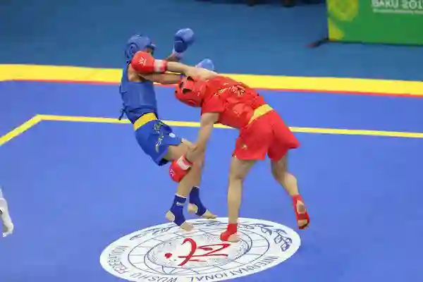آموزش و باشگاه ووشو