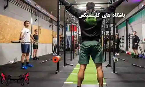 باشگاه آموزشی کالیس تنیکس