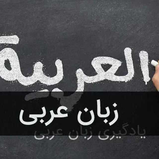 چیتا پت شاپ فروش لوازم حیوانات خانگی همراه با ارسال به سراسر ایران