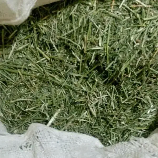 فروش یونجه بهداشتی مناسب پت