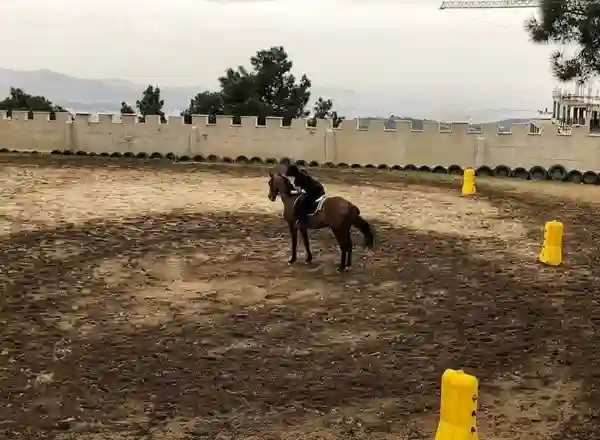 باشگاه‌ اسب‌ سواری و تربیت اسب زجاجی