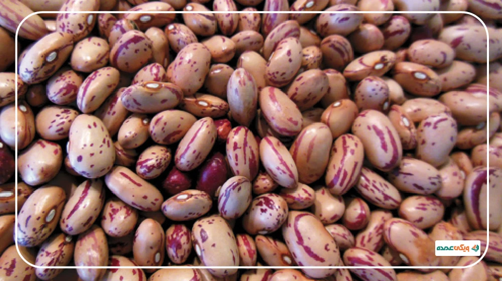 فروش عمده حبوبات با صنایع غذایی سبزینه