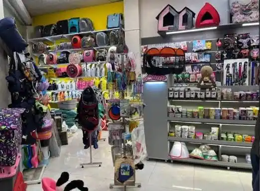 خرید آسان غذای سگ و گربه در رشت