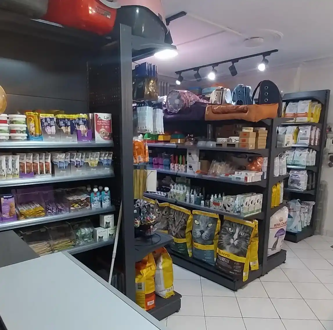 کلینیک دامپزشکی و پت شاپ پوما در جنت‌آباد مرکزی تهران