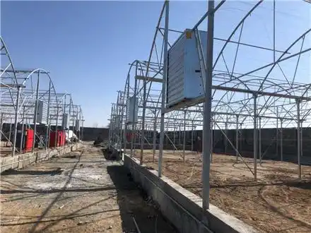 ساخت و اجرای گلخانه هوشمند در سراسر کشور