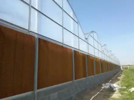 ساخت گلخانه اسپانیایی با بهترین کیفیت